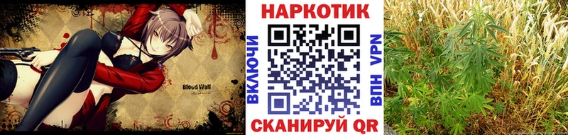 Где купить наркоту Новомичуринск Метамфетамин  Alpha-PVP  COCAIN  Codein  Марихуана  ГАШ  Мефедрон 